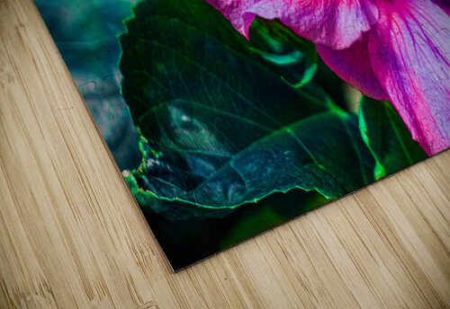 Pink Glory Hibiscus Vanwizle puzzle