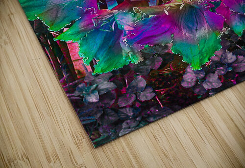 Locus Flower Trap Vanwizle puzzle
