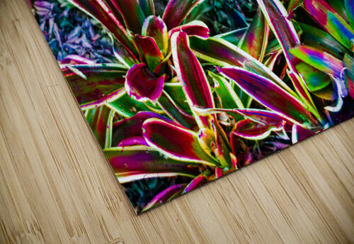 Mixed Plate Lunch Vanwizle puzzle