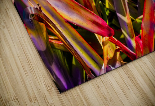 Bromiliad Flames Vanwizle puzzle