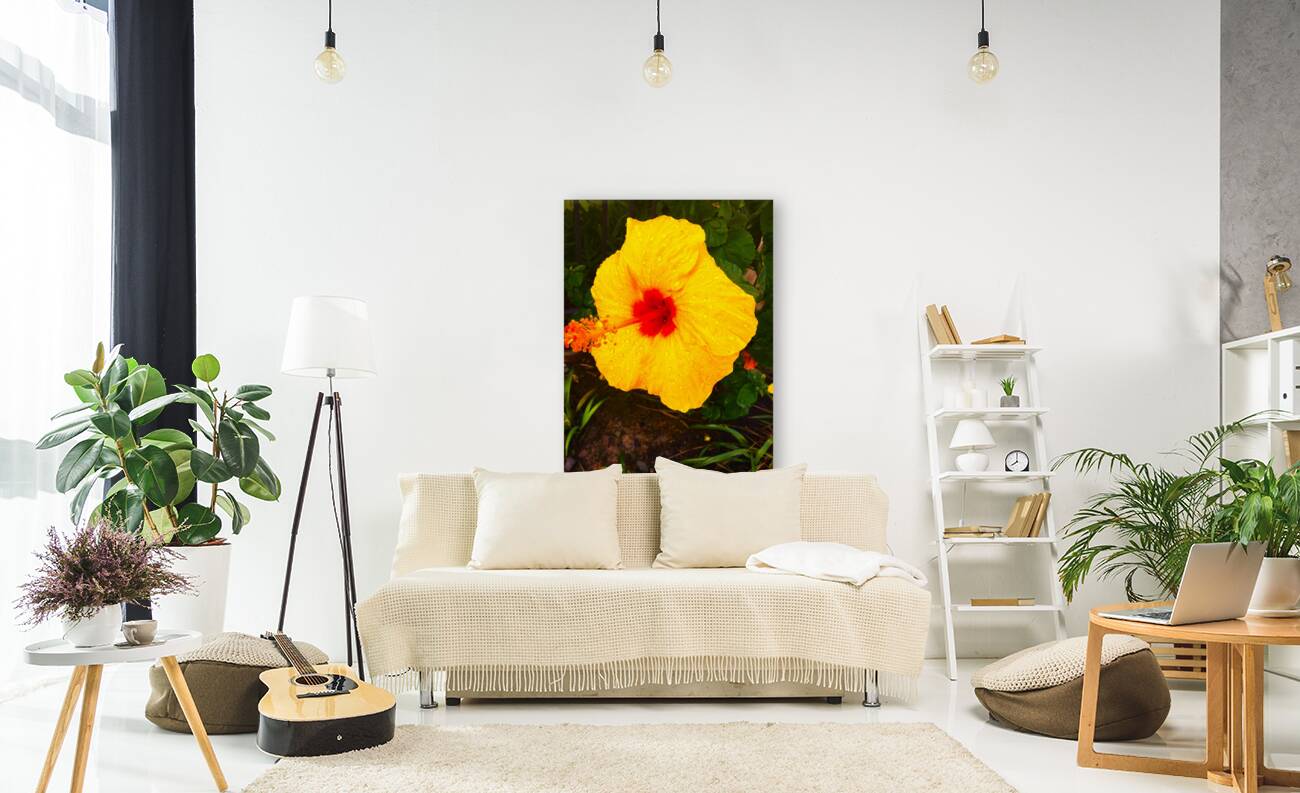 Happy Hibiscus Reproduction