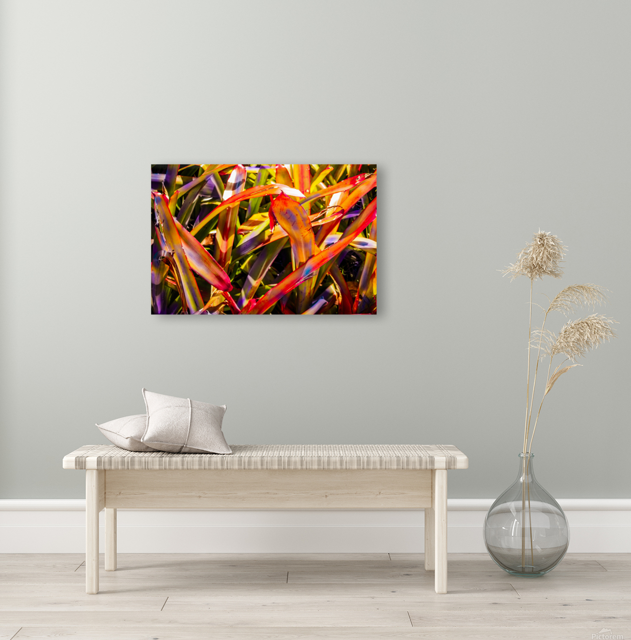 Bromiliad Flames Reproduction