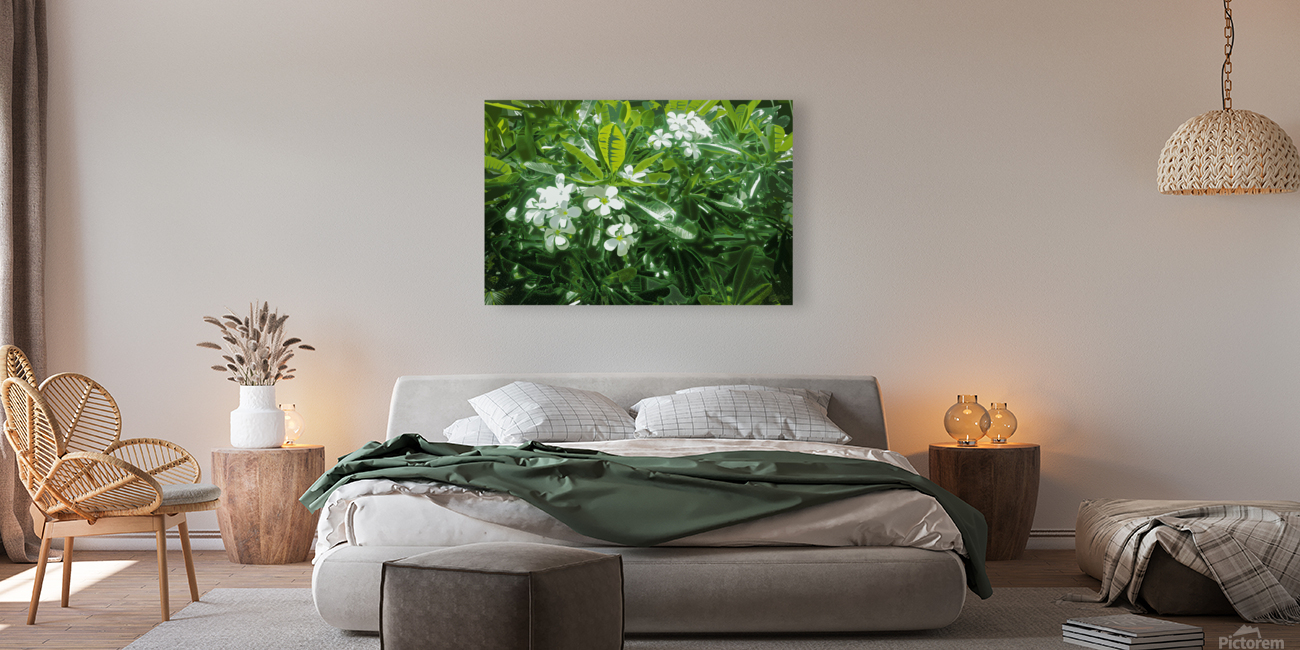 Plumeria Lights  Reproduction