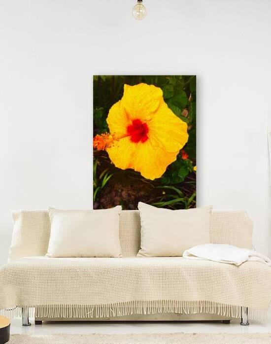 Happy Hibiscus by Vanwizle