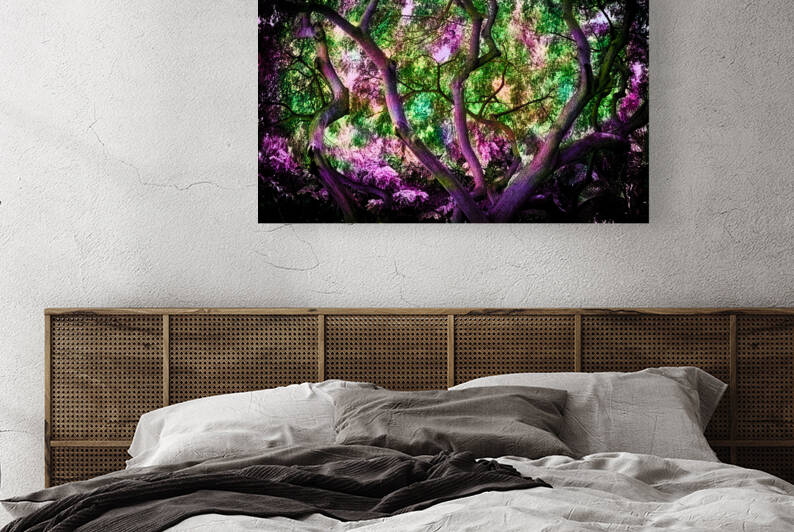 Purple Trunk Lanes by Vanwizle