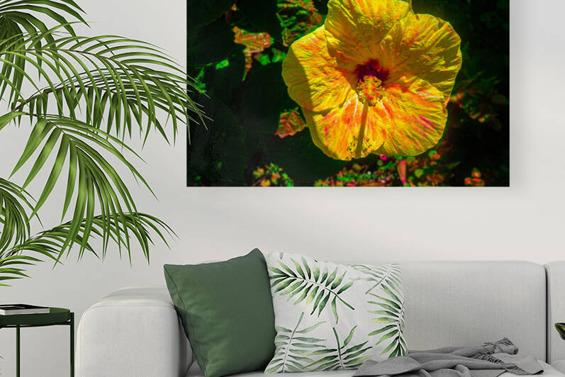 Orange Powder Hibiscus by Vanwizle