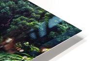 Paradise Trail HD Metal print