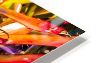 Bromiliad Flames HD Metal print