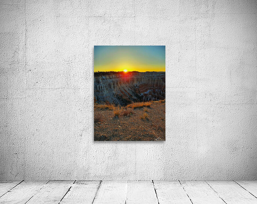 Sun Shadow Wall Preview