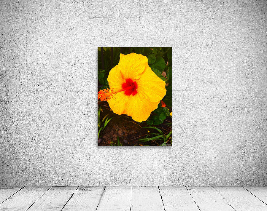Happy Hibiscus Wall Preview