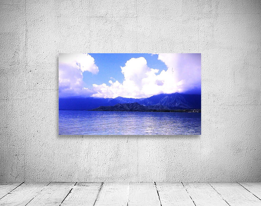 Blue Paradise Wall Preview