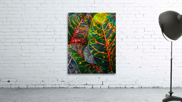 Tea Leaf Dye Wall Preview