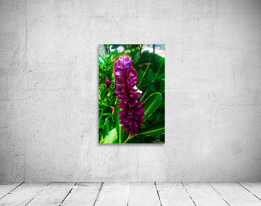 Red Ginge Teardrops Wall Preview