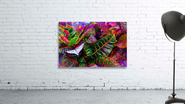 Rainbow Sunburn Wall Preview