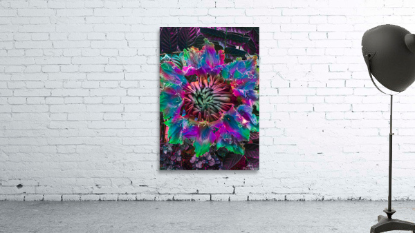 Locus Flower Trap Wall Preview