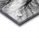 L’arbre de vie Acrylic print