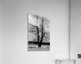 L’arbre de vie Acrylic Print