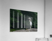 Strike the pose Acrylic Print