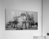 Premiere neige Acrylic Print