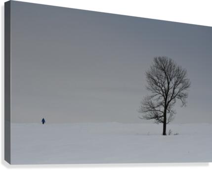 Marche hivernale Canvas Print