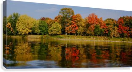 Fall in love with fall Canvas Print