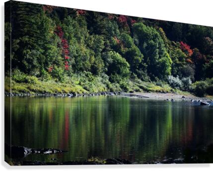 Faisceaux d’automne Canvas Print