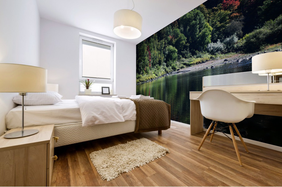 Faisceaux d’automne Mural print