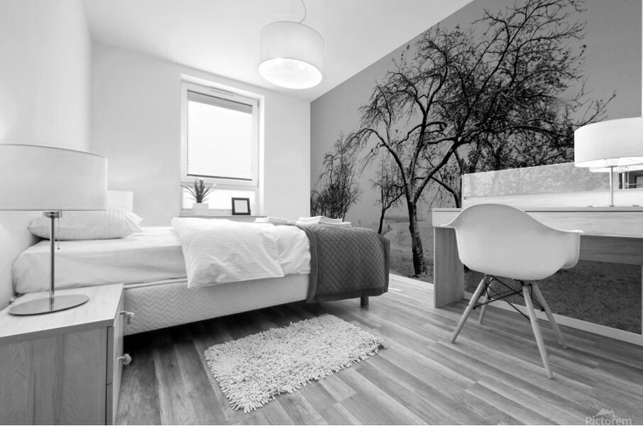 Premiere neige Mural print