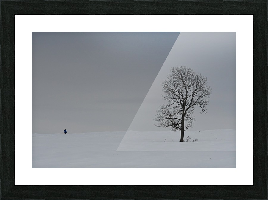Marche hivernale Picture Frame print