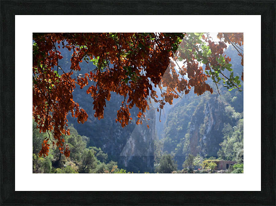 Akchour Picture Frame print