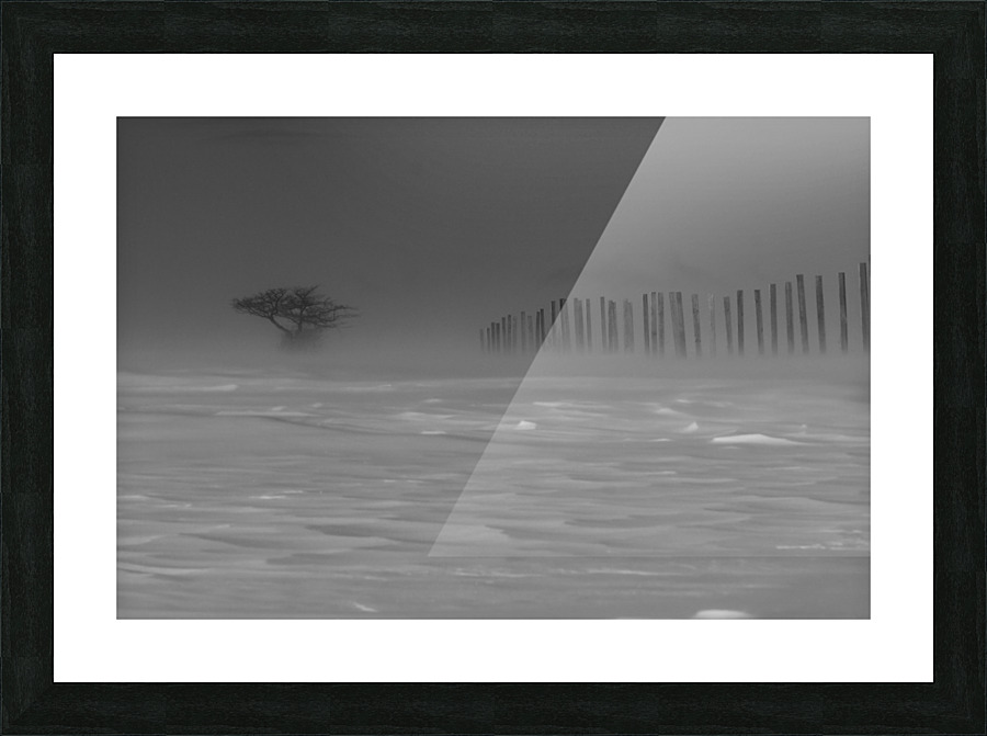 La bourrasque Picture Frame print