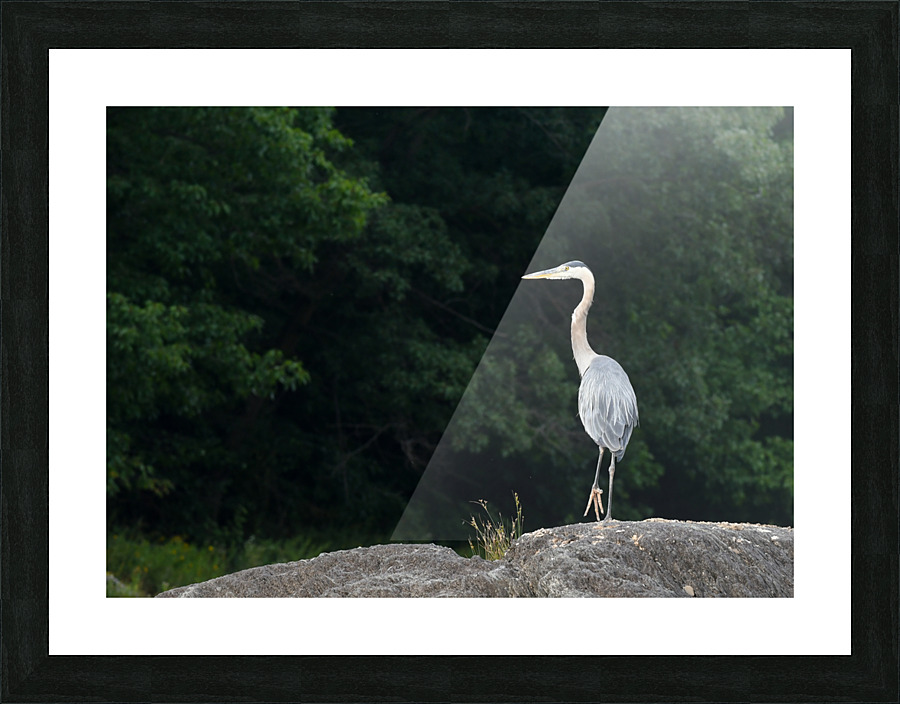 Strike the pose Picture Frame print