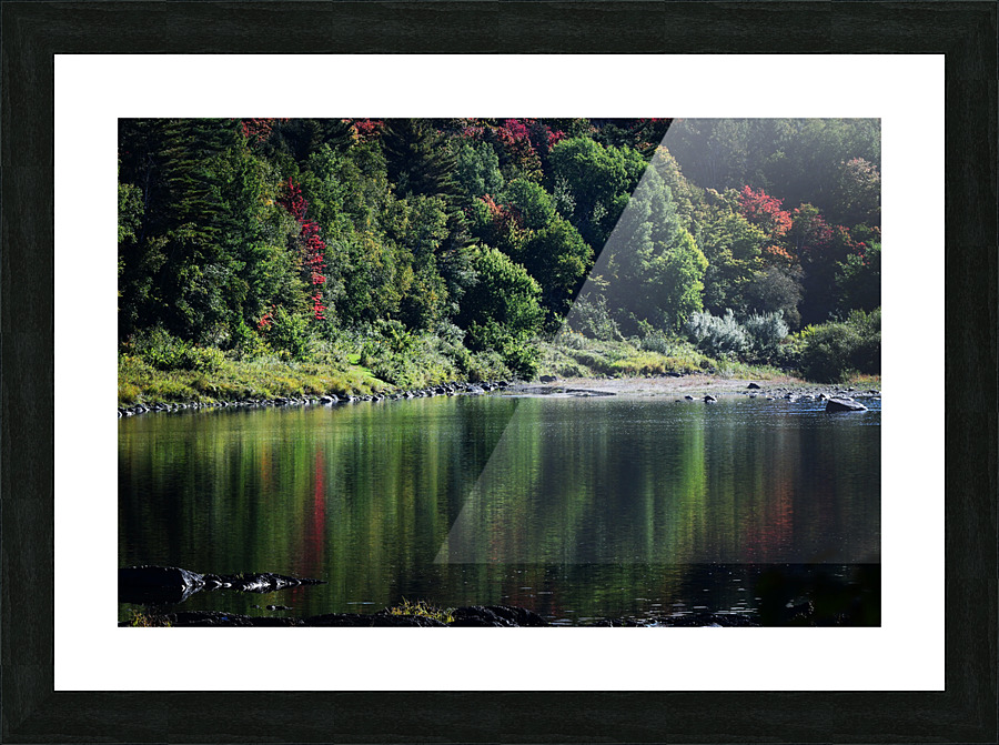 Faisceaux d’automne Picture Frame print