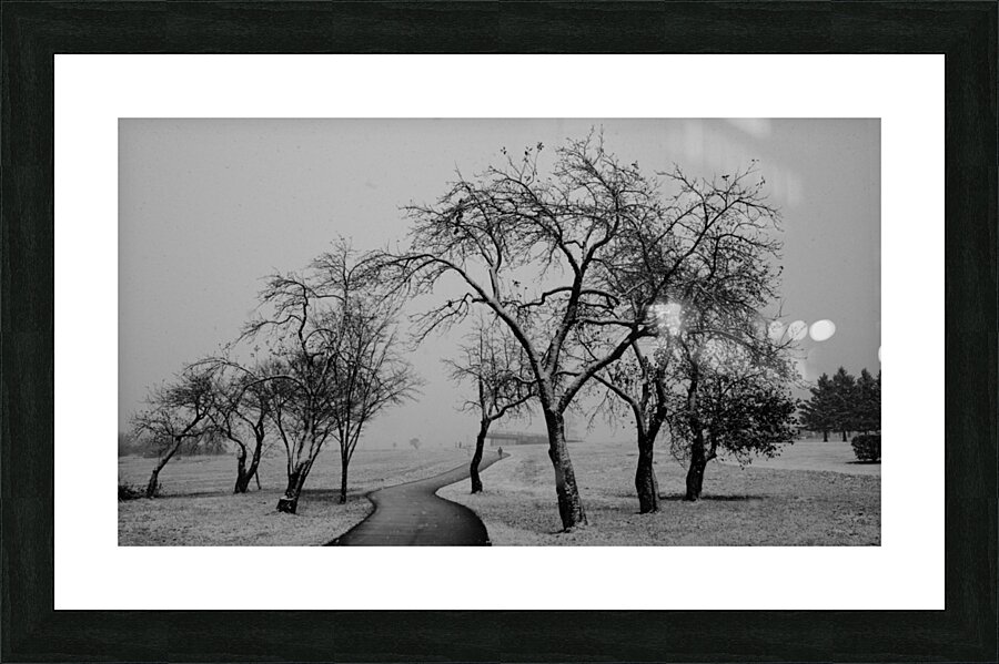 Premiere neige Picture Frame print