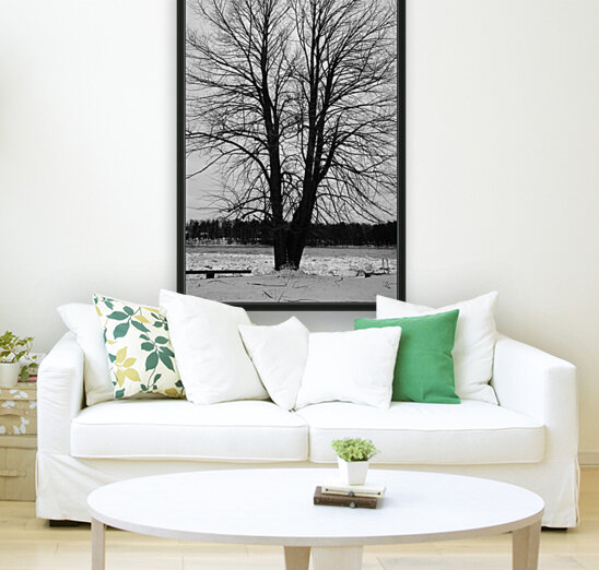 L’arbre de vie Reproduction