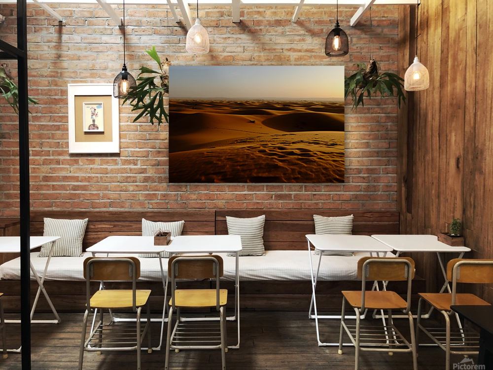Erg Chebbi Reproduction