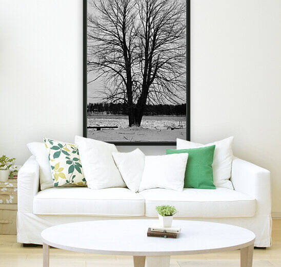 L’arbre de vie by CEDANSBOITE