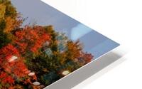 Fall in love with fall HD Metal print