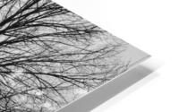 L’arbre de vie HD Metal print