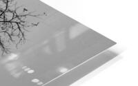 Premiere neige HD Metal print