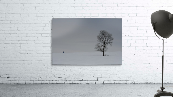 Marche hivernale Wall Preview