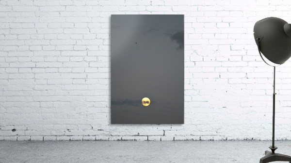 Clair de lune Wall Preview