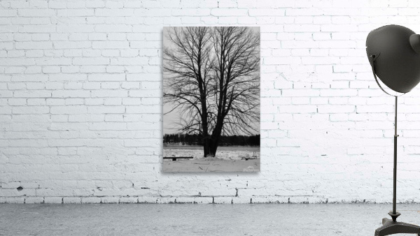L’arbre de vie Wall Preview