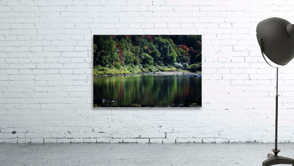 Faisceaux d’automne Wall Preview