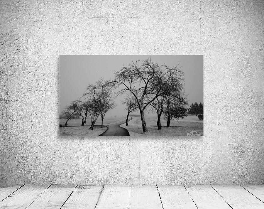 Premiere neige Wall Preview