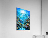 Coral Reef Acrylic Print