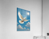 Dove One Acrylic Print