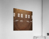 Tree Rings Acrylic Print