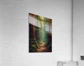 Redwoods Acrylic Print