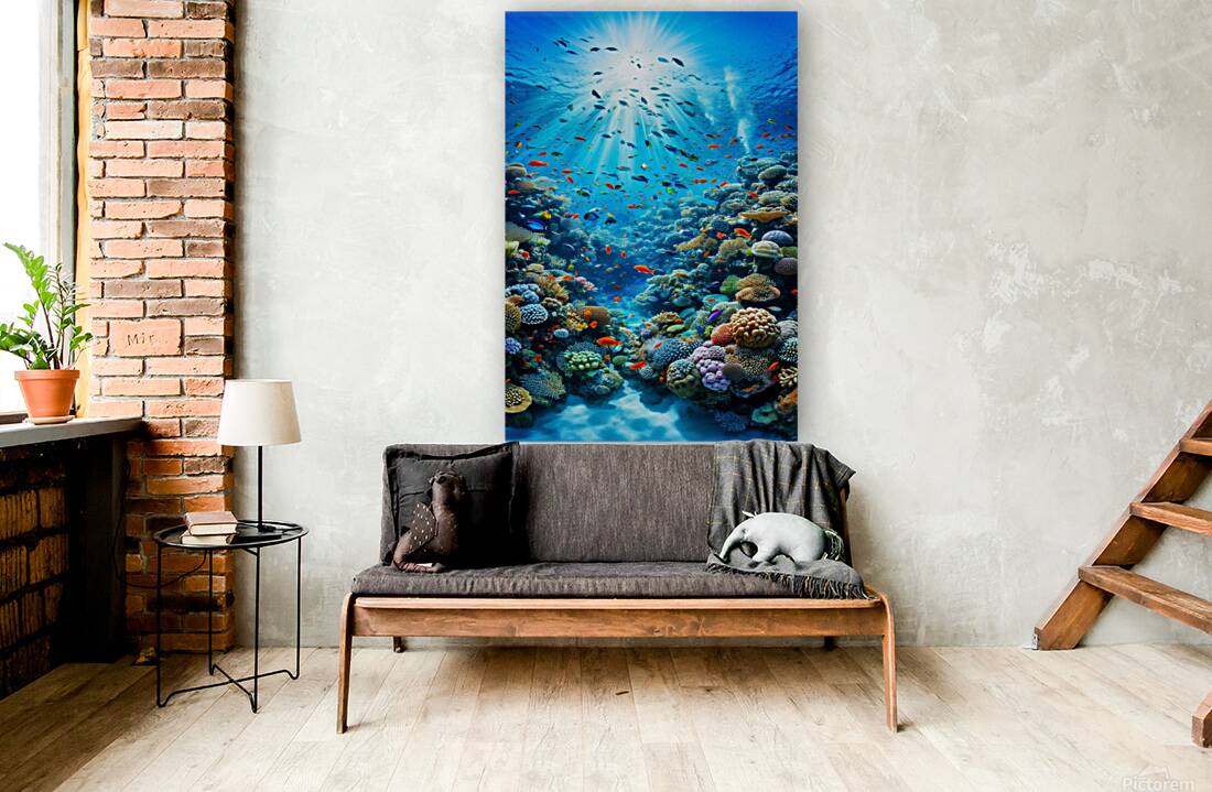 Coral Reef Reproduction